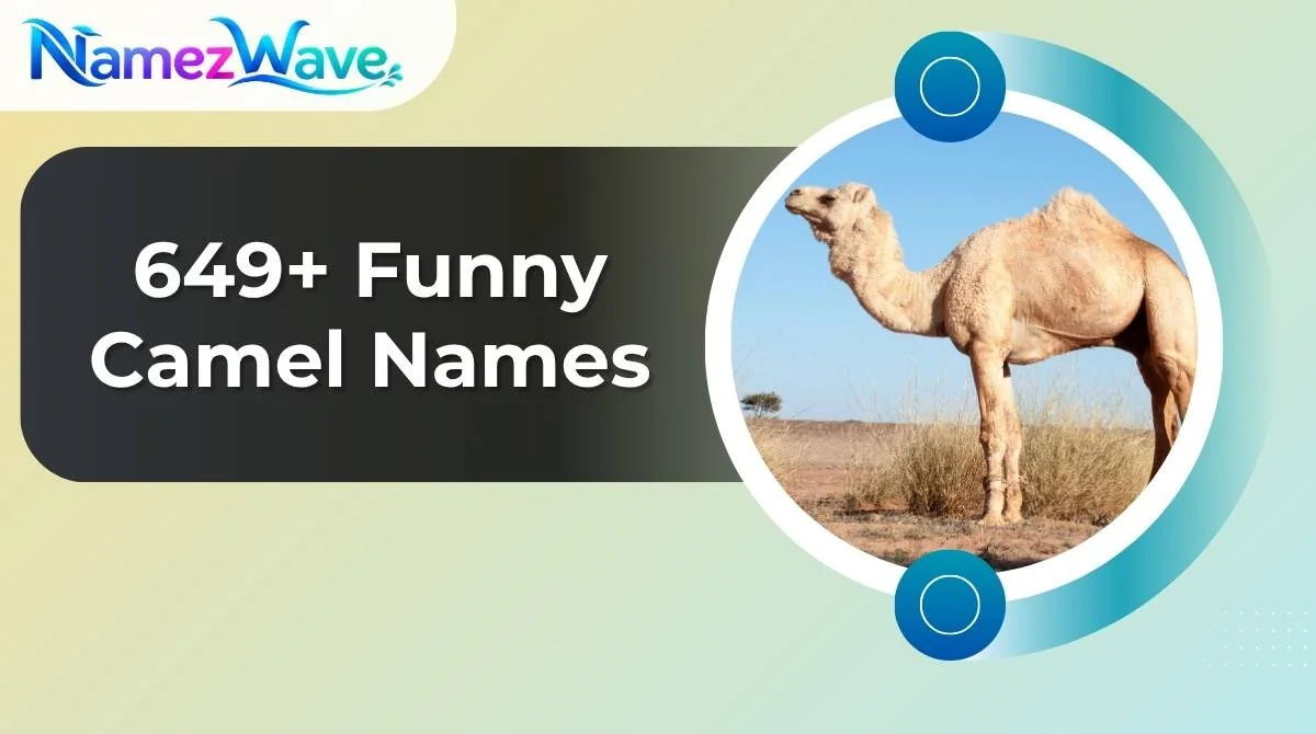 Funny Camel Names