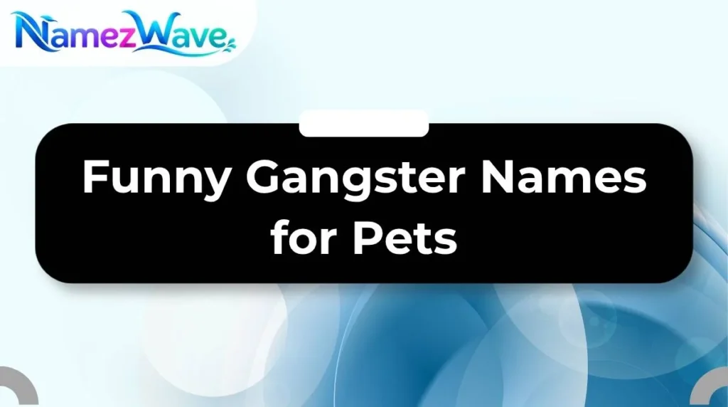 Funny Gangster Names for Pets