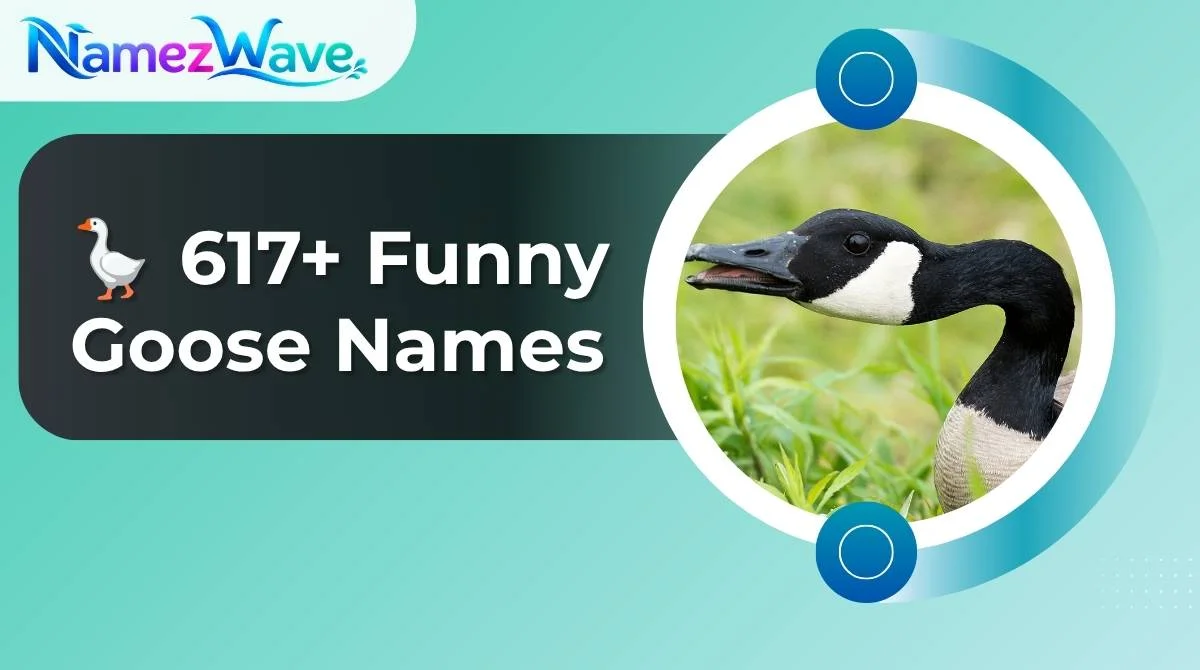 Funny Goose Names
