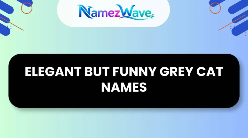 Elegant but Funny Grey Cat NamesElegant but Funny Grey Cat Names