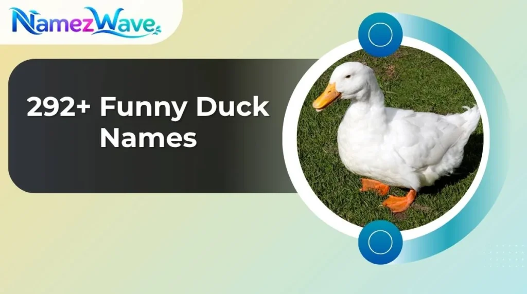Funny Duck Names