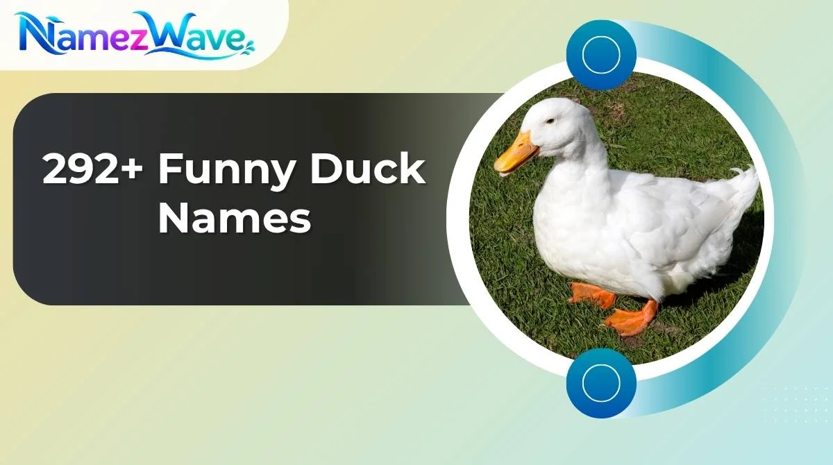 Funny Duck Names