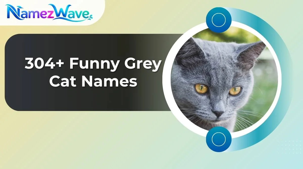 Funny Grey Cat Names