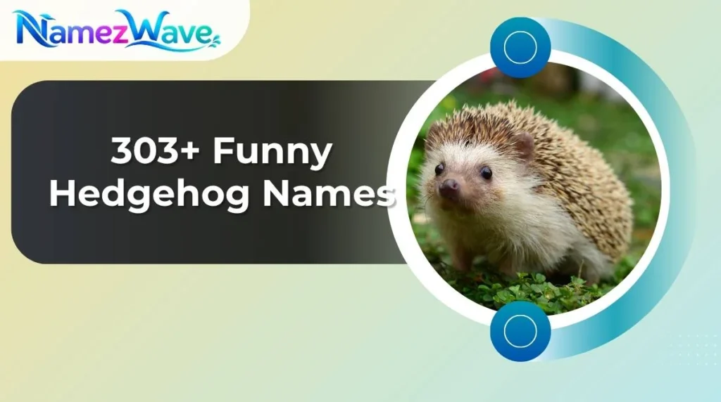 Funny Hedgehog Names