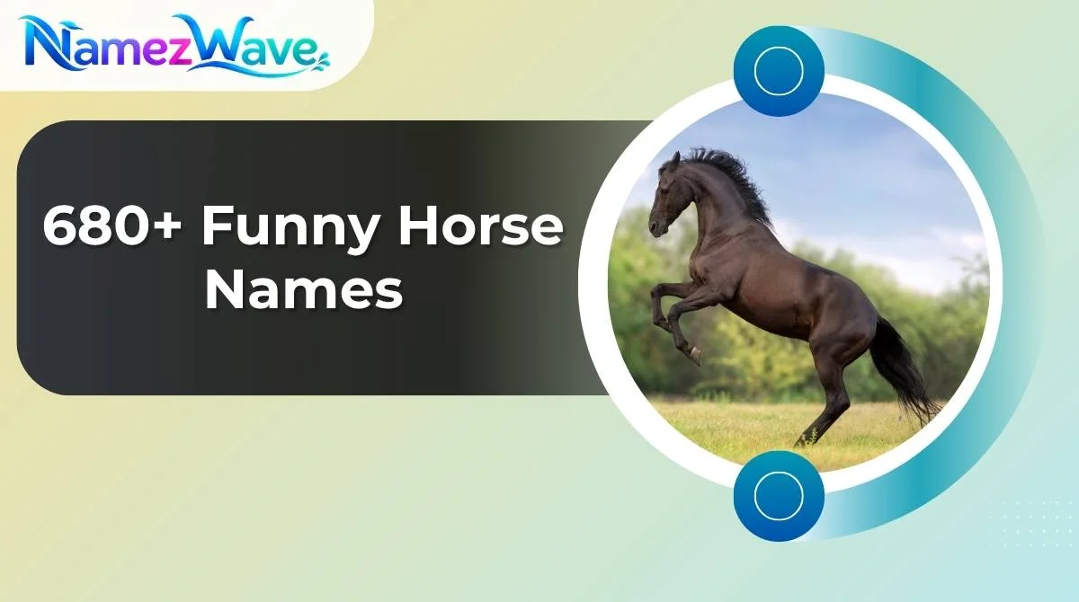 Funny Horse Names