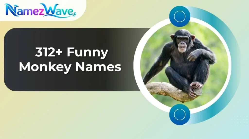 Funny Monkey Names