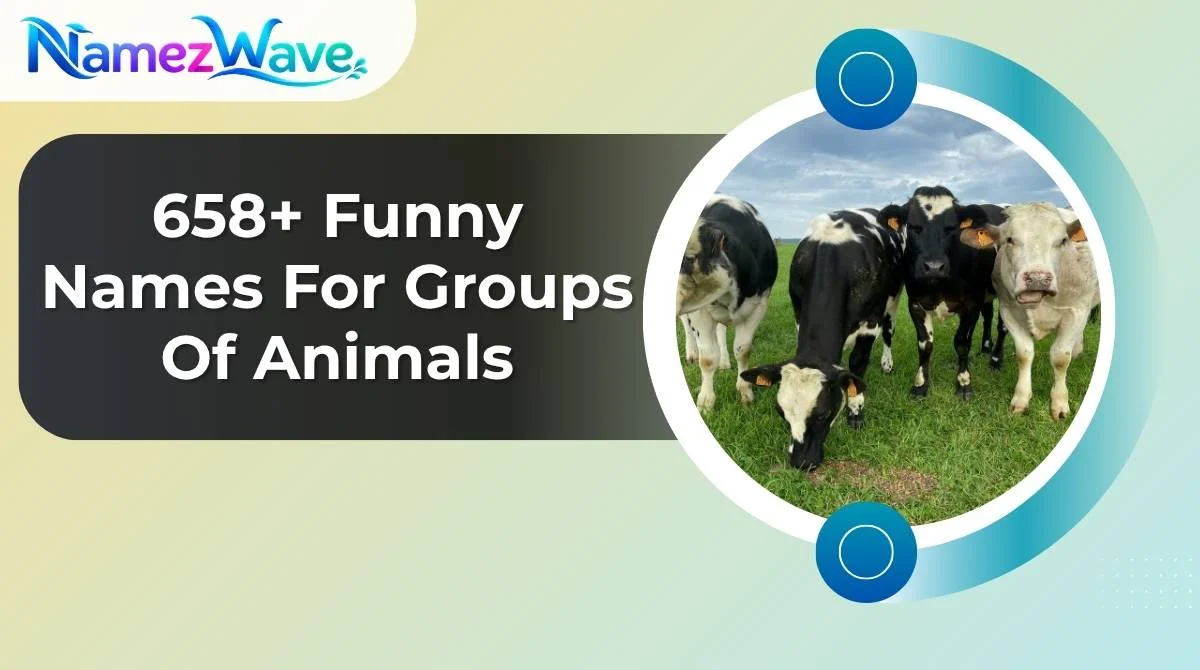 Funny Names For Groups Of Animals
