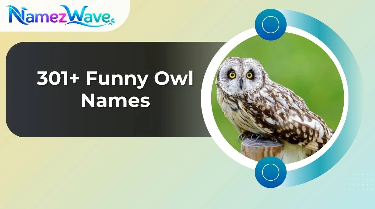 Funny Owl Names