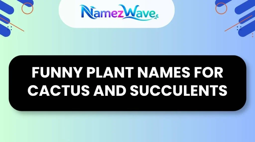 Funny Plant Names for Cactus and Succulents