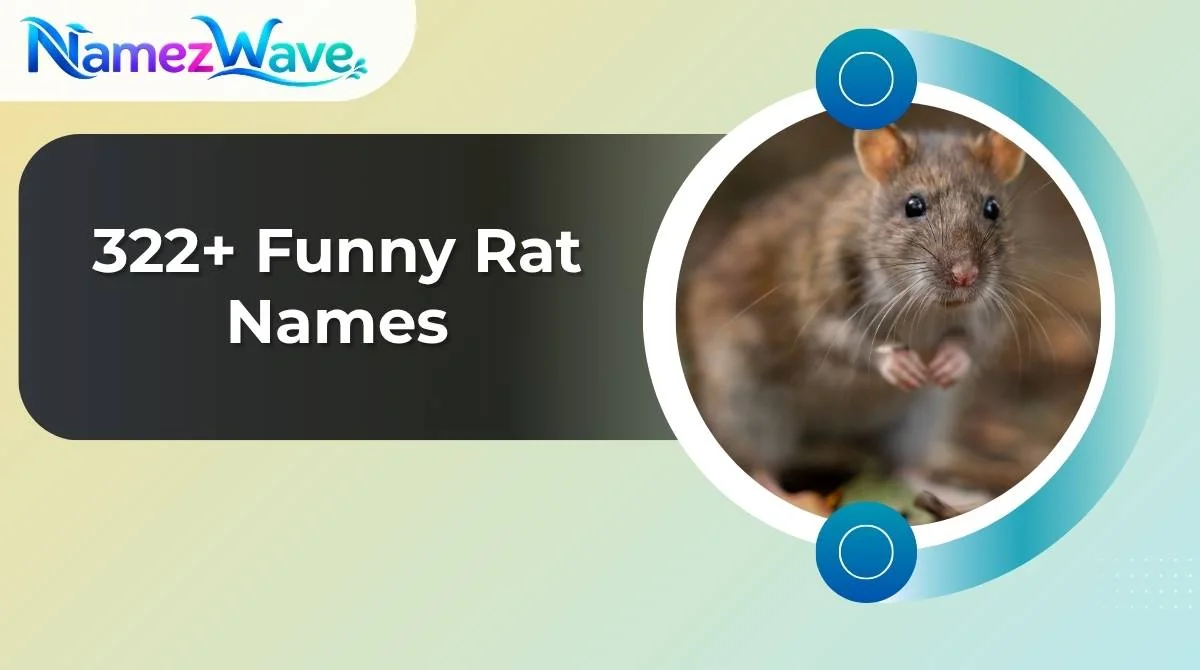 Funny Rat Names