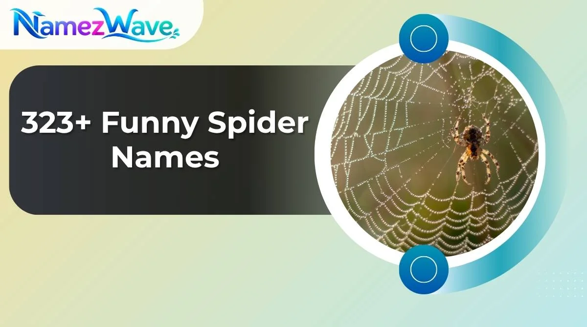 Funny Spider Names
