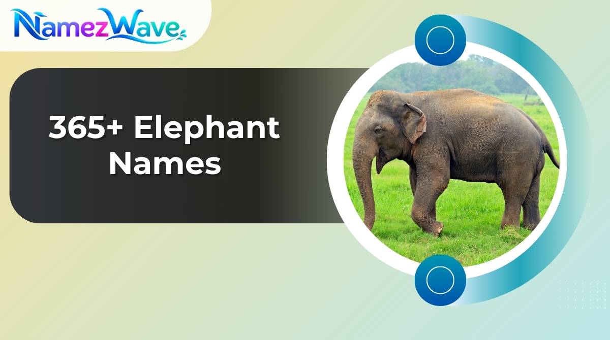 Elephant Names