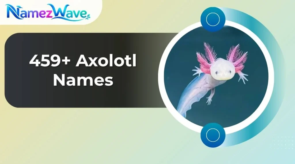 Axolotl Names