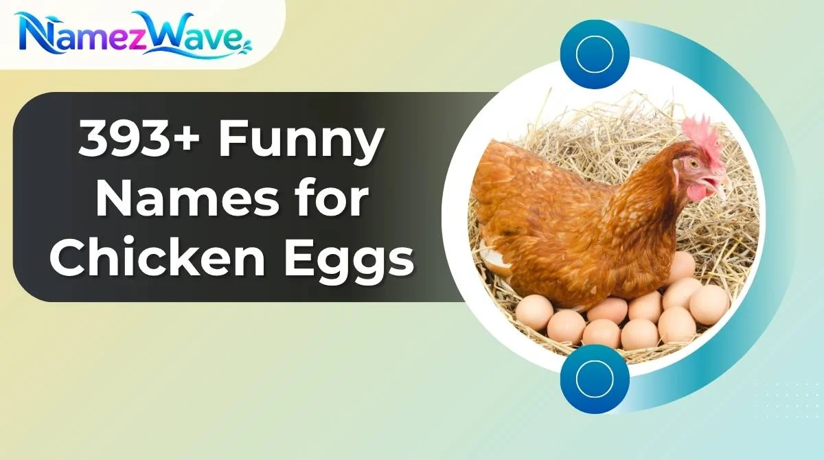 Funny Names for Chicken Eggs