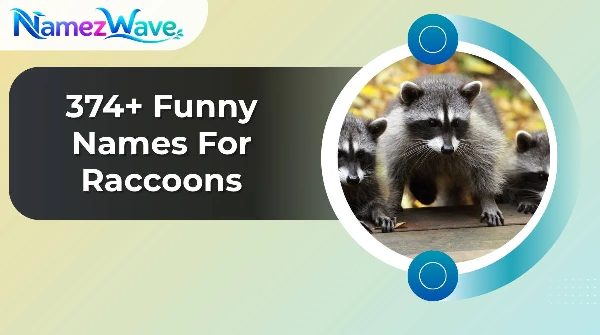 Funny Names For Raccoons