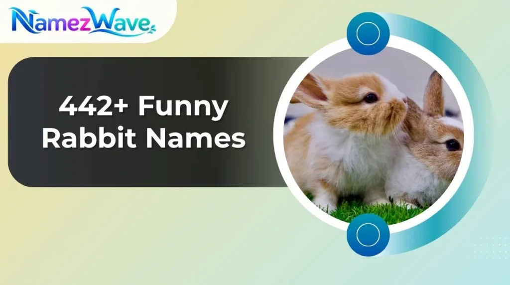 Funny Rabbit Names