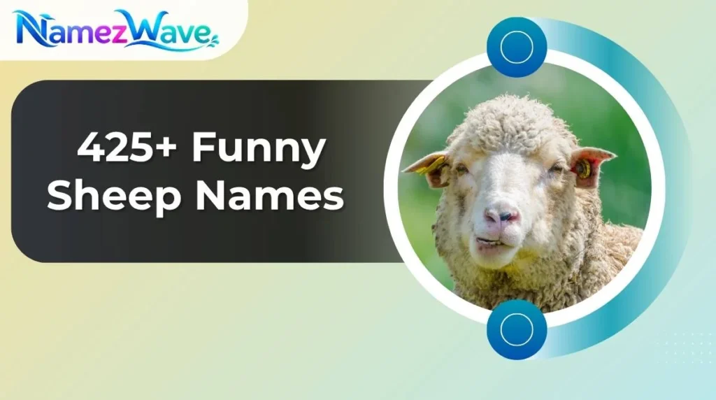 Funny Sheep Names
