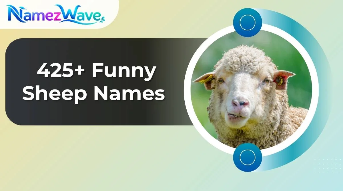 Funny Sheep Names