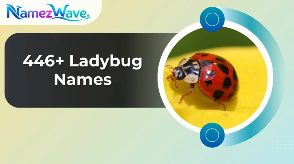 Ladybug Names