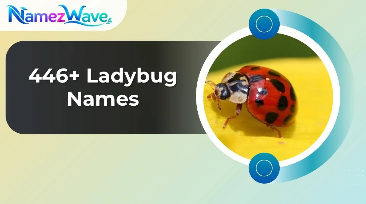 Ladybug Names