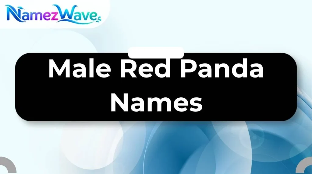 Male Red Panda Names