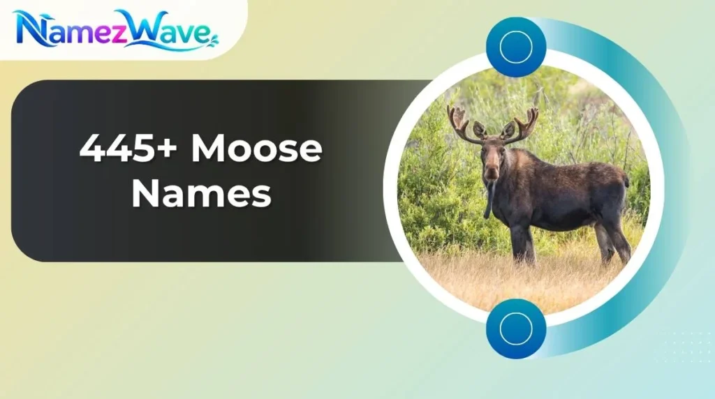 Moose Names