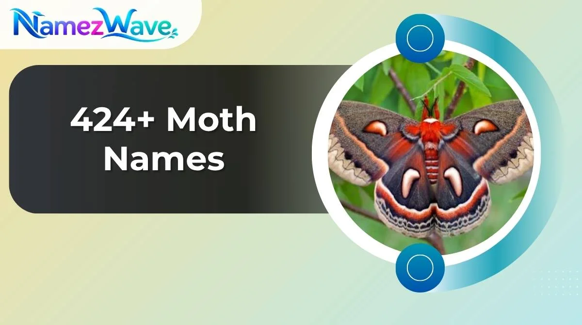 Moth Names