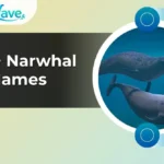 Narwhal Names