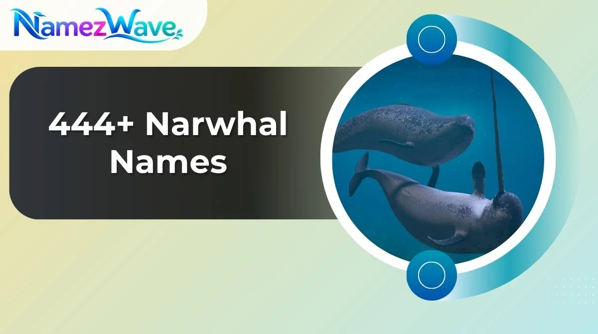 Narwhal Names