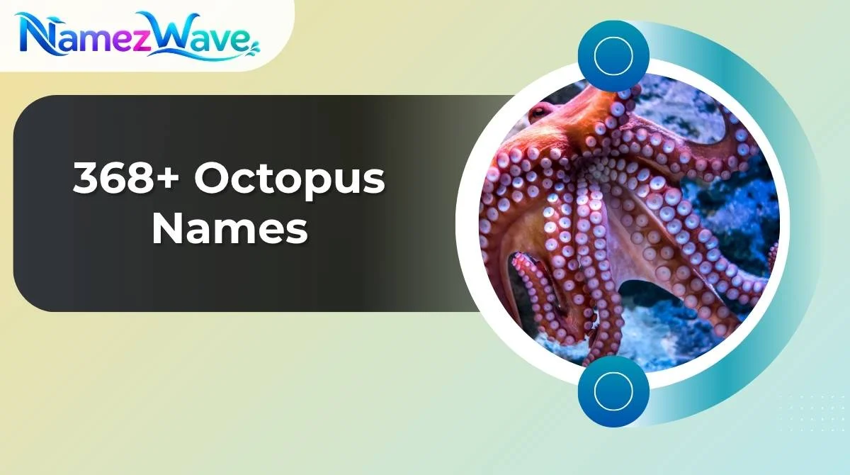 Octopus Names