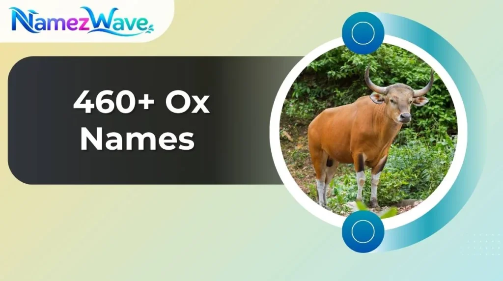 Ox Names