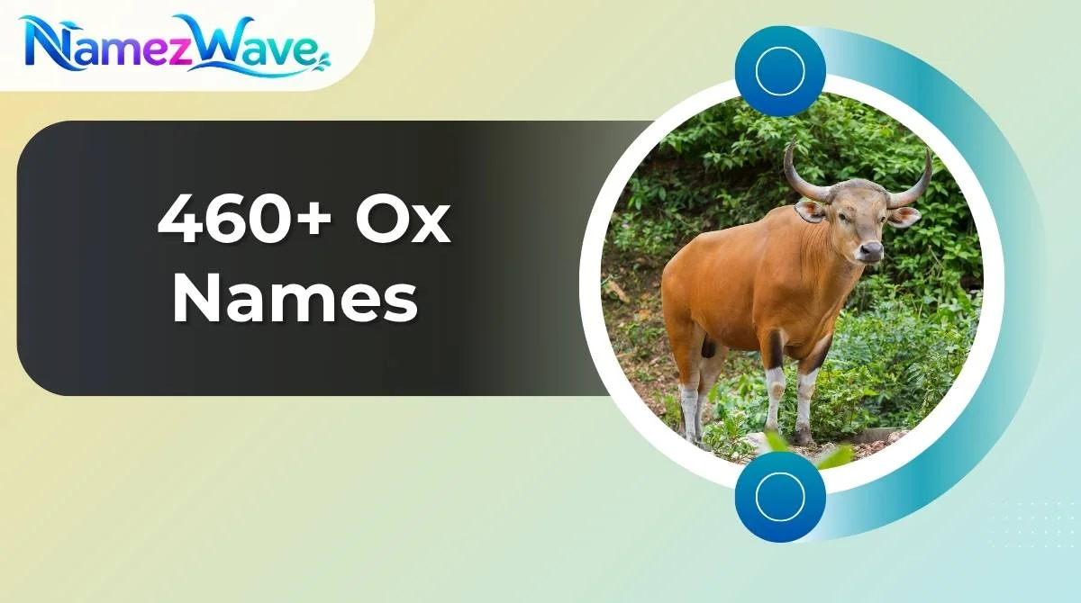 Ox Names