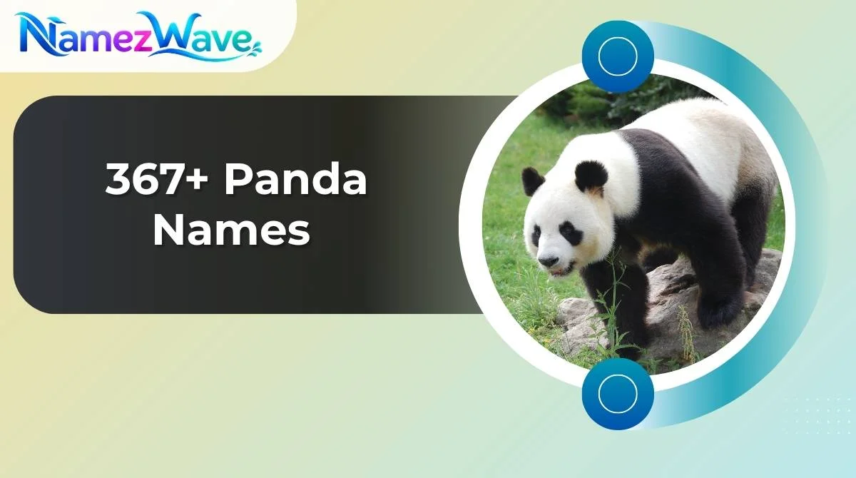 Panda Names