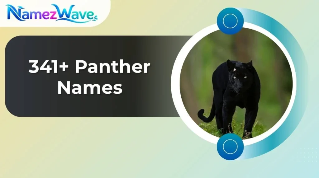 Panther Names