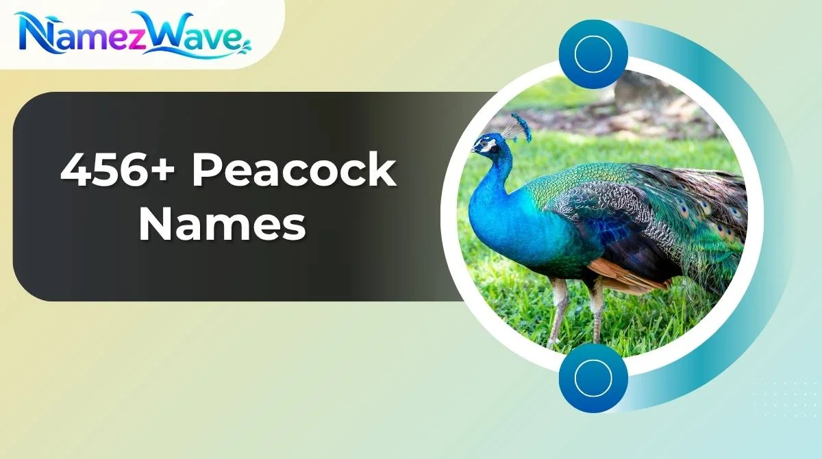 Peacock Names