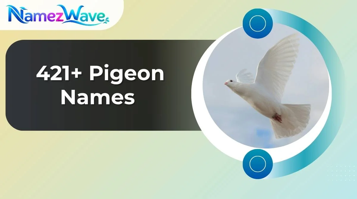 Pigeon Names