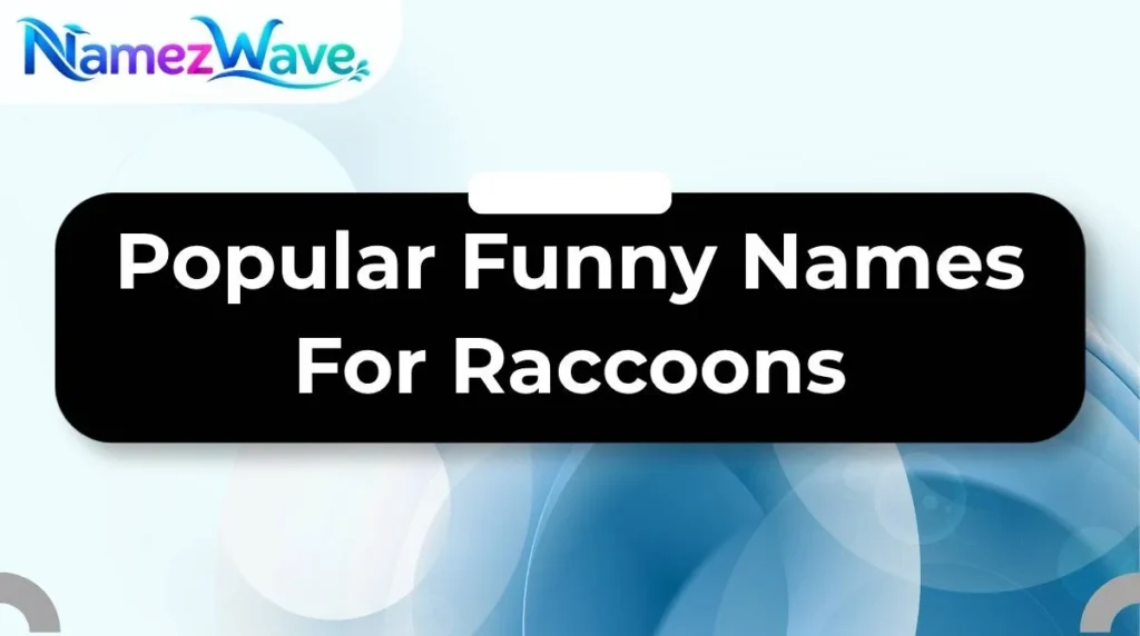 Popular Funny Names For Raccoons