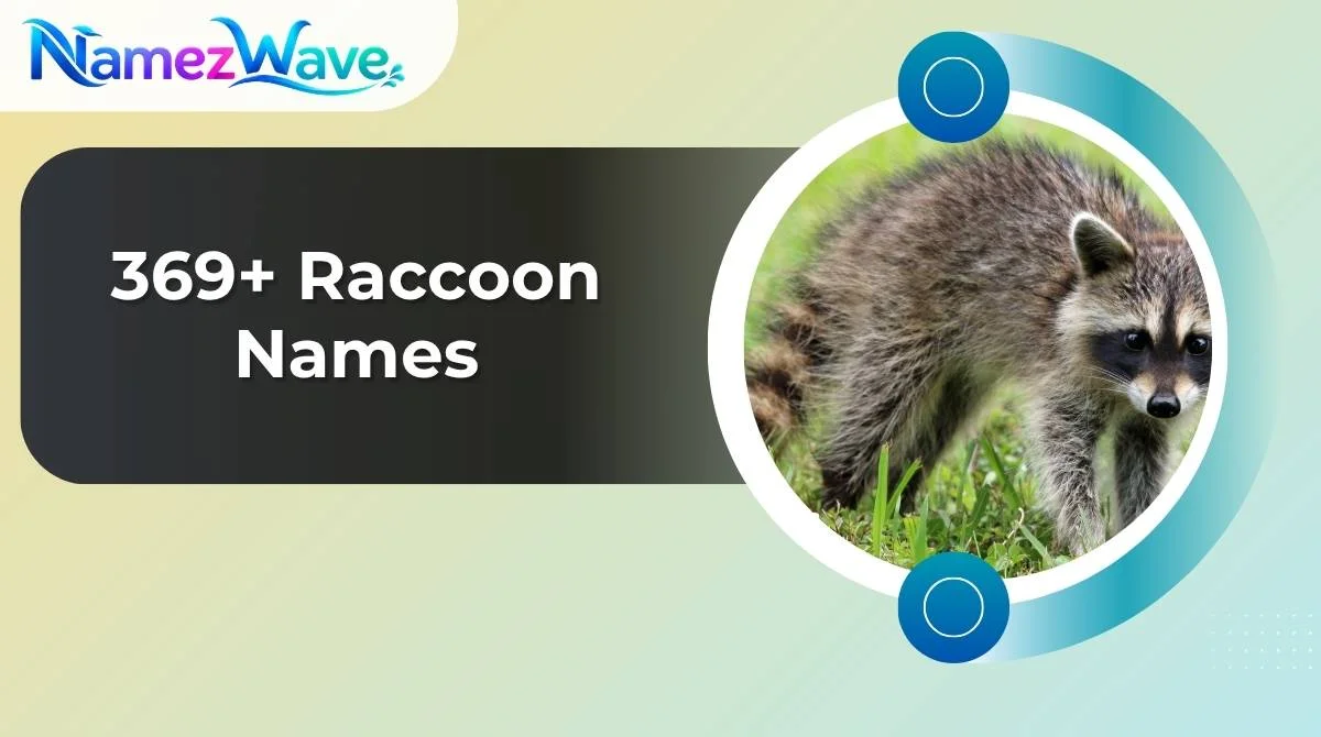 Raccoon Names