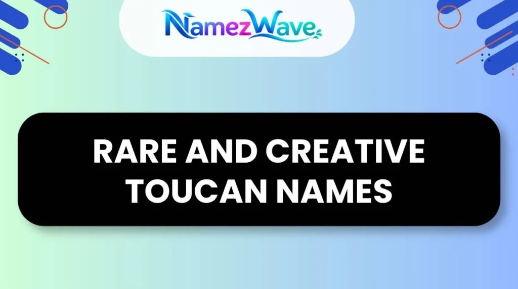 Rare and Creative Toucan Names