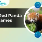 Red Panda Names