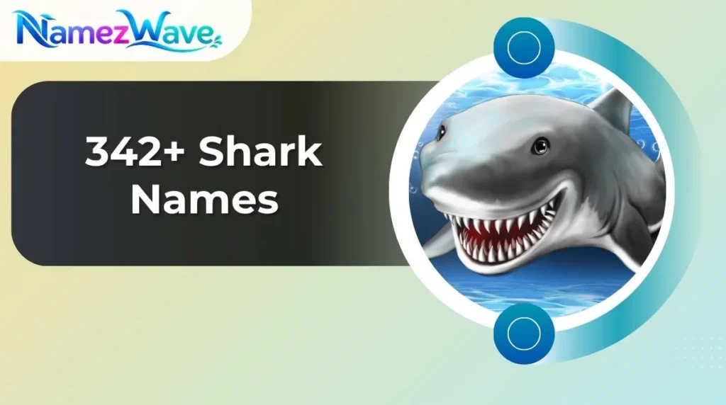 Shark Names