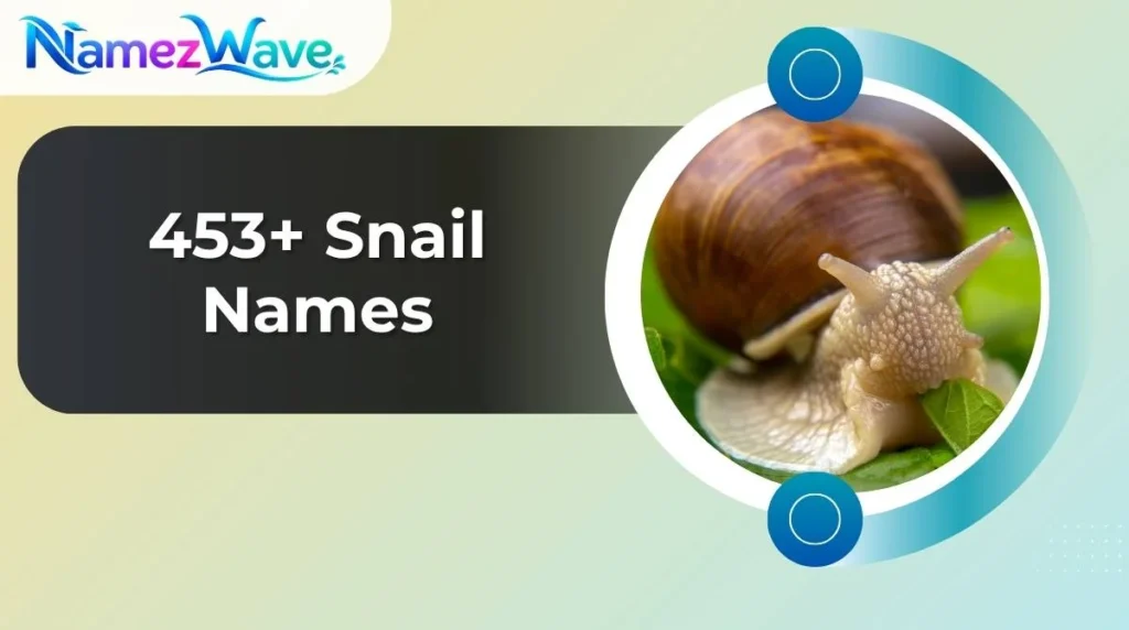 Snail Names