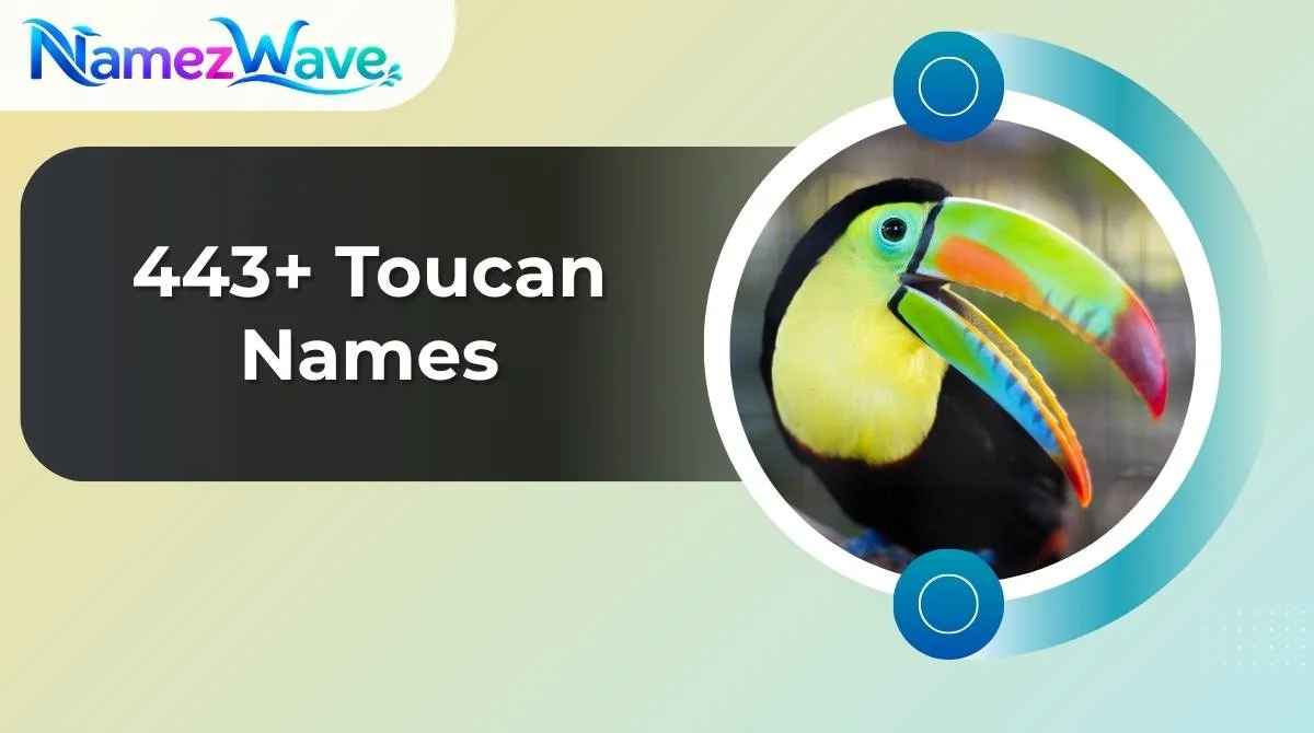 Toucan Names