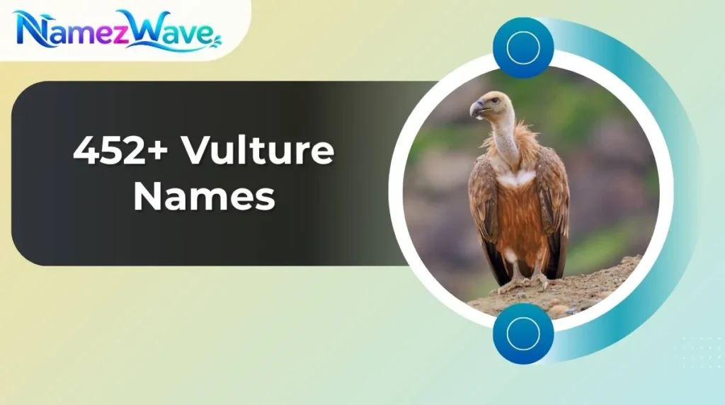 Vulture Names