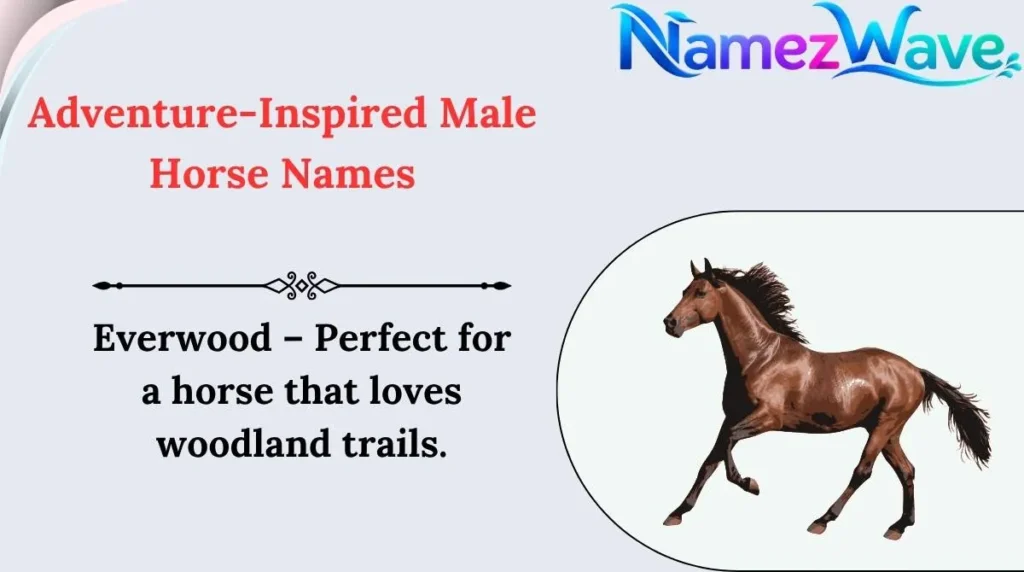 Adventure-Inspired Male Horse Names