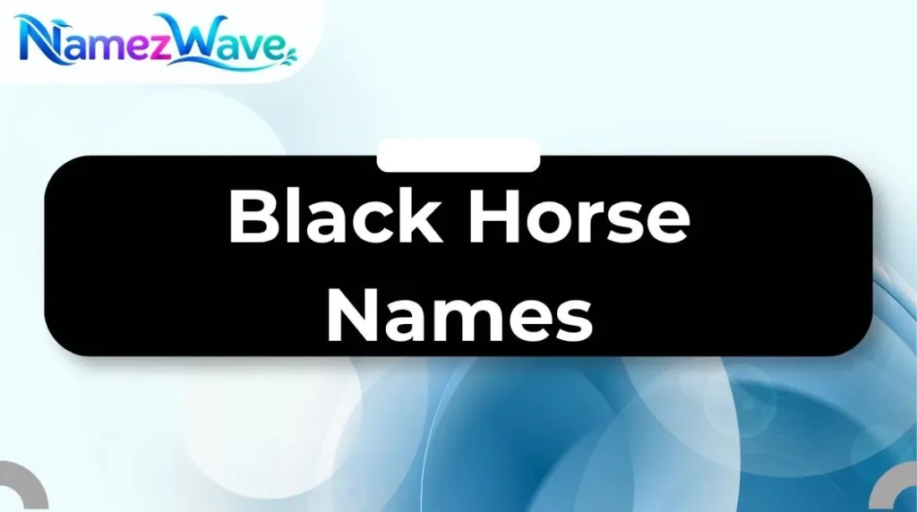 Black Horse Names