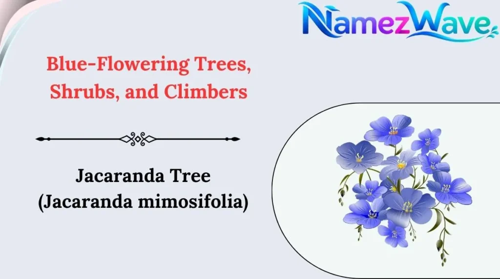 Blue-Flowering Trees, Shrubs, and Climbers