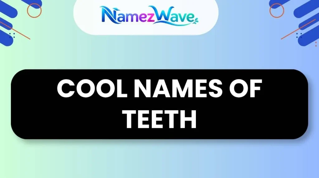 Cool Names of Teeth