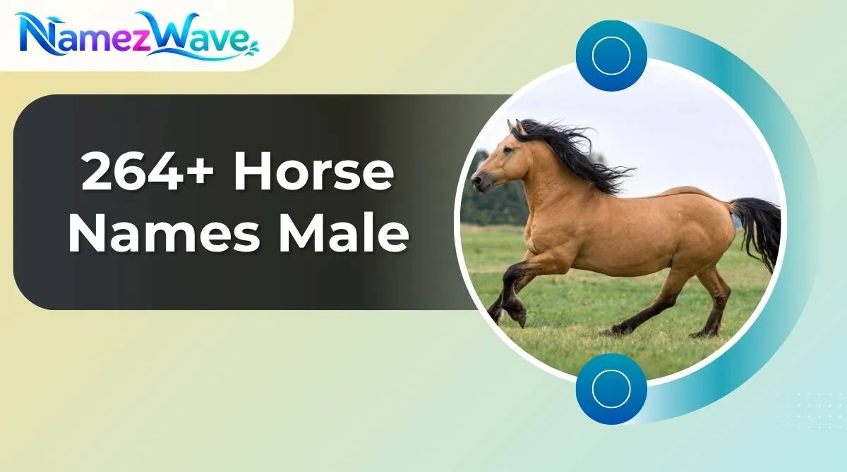 Horse Names Male