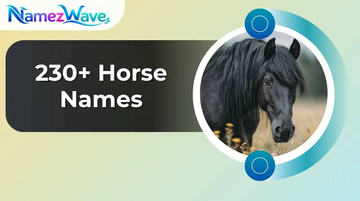 Horse Names
